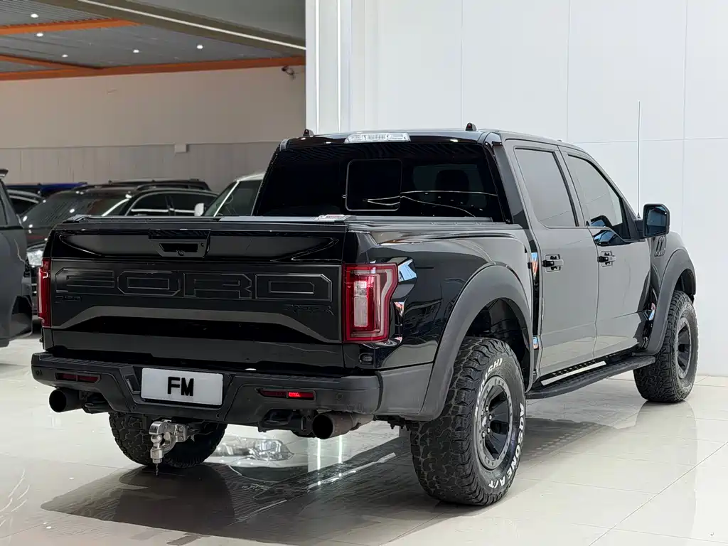 Ford F-150 Raptor 2017 — фото 20