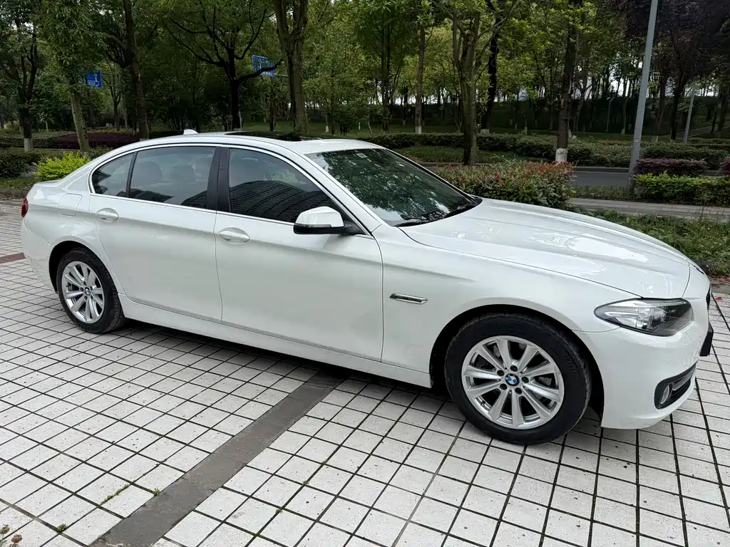 BMW 5 Series 2014 — фото 9