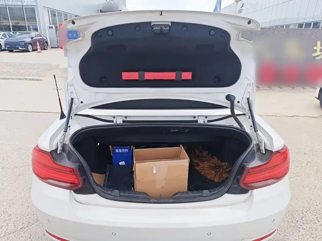 BMW 2 Series 2019 — фото 16