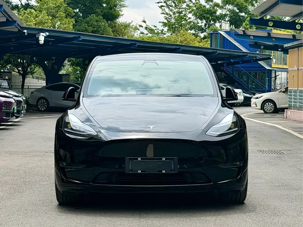 Tesla Model Y 2021 — фото 2