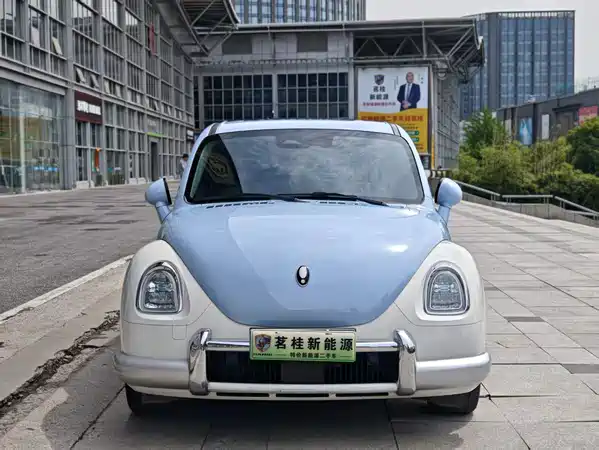 Ora Ballet Cat 2022