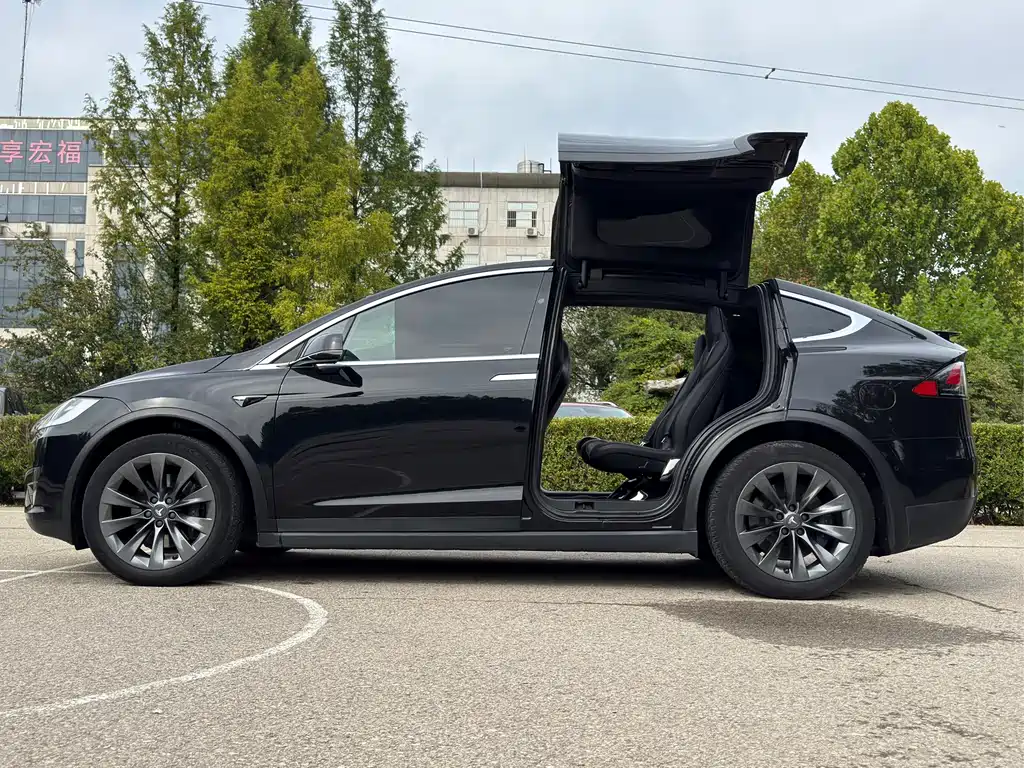 Tesla Model X 2018 — фото 6