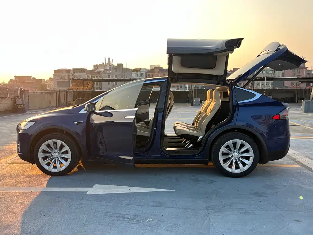 Tesla Model X 2017 — фото 27