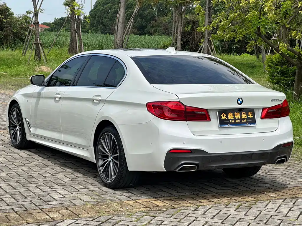 BMW 5 Series 2020 — фото 12