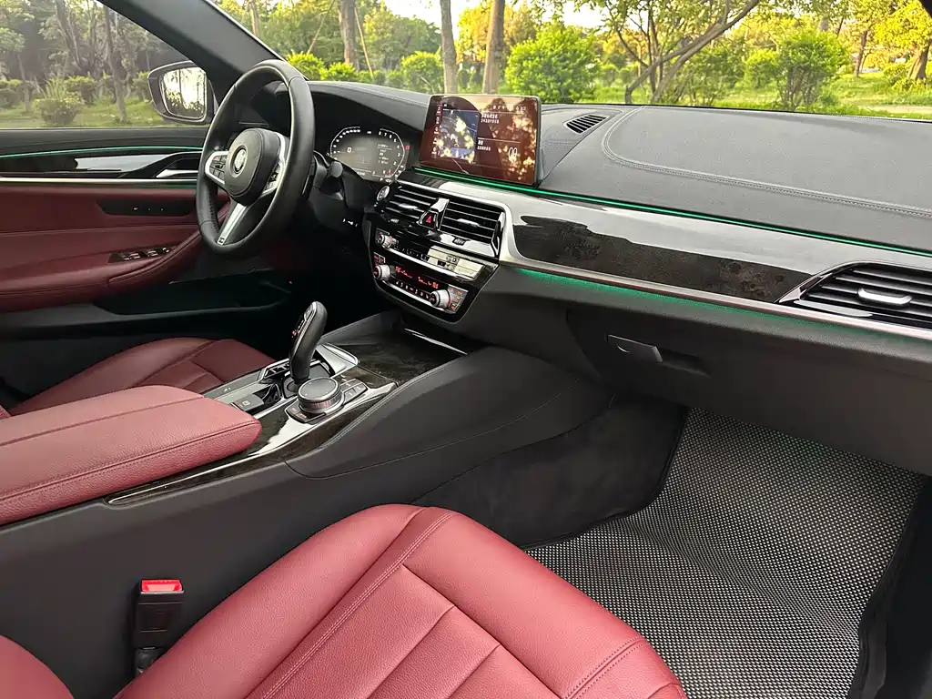 BMW 5 Series 2020 — фото 16