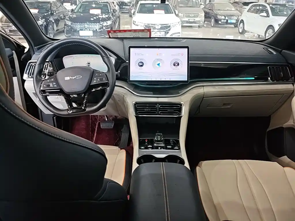 BYD PLUS New Energy 2024 — фото 10