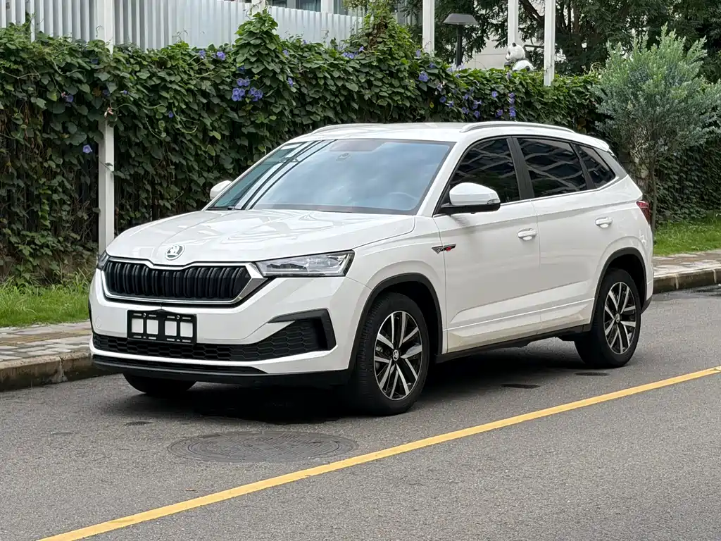 Skoda Kamiq 2020