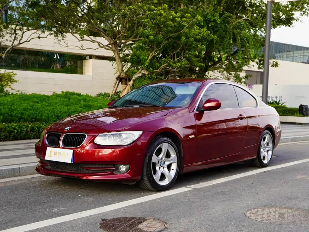 BMW 3 Series 2010
