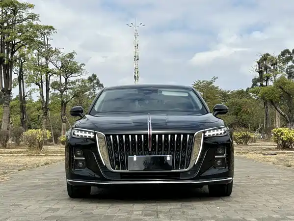 Hongqi H5 2023