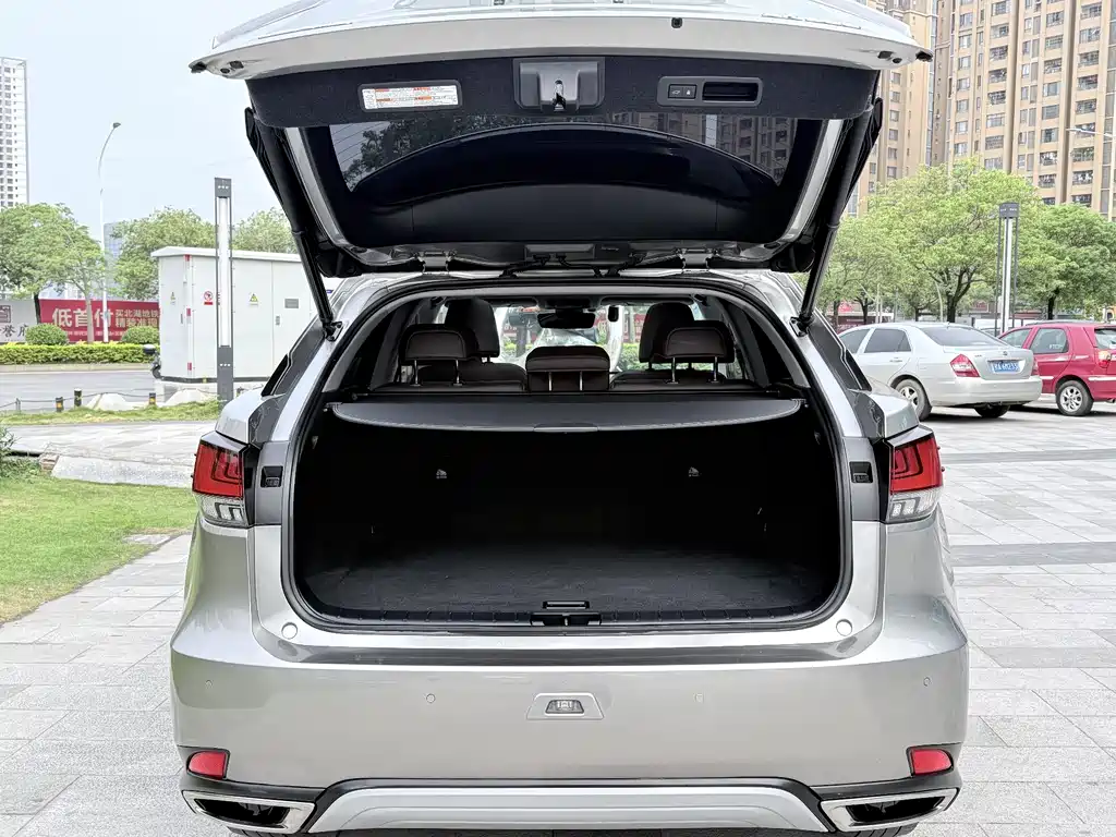 Lexus RX 2020 — фото 19