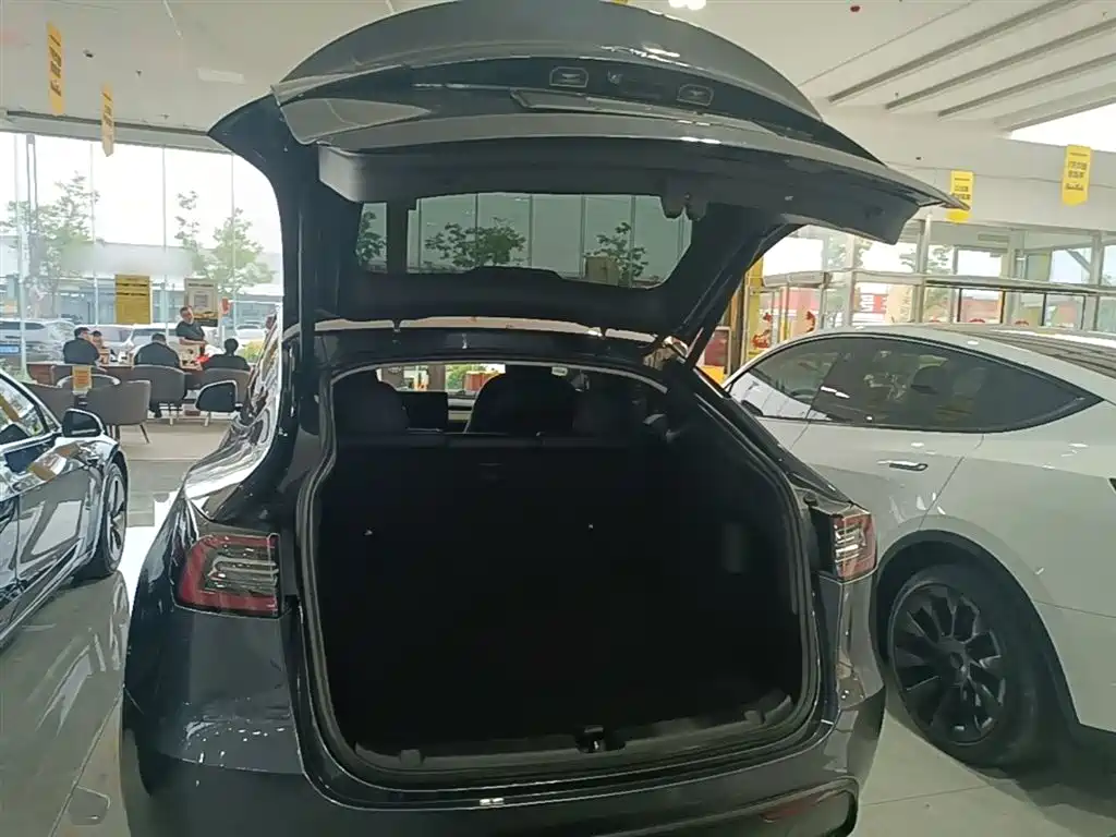 Tesla Model Y 2021 — фото 19