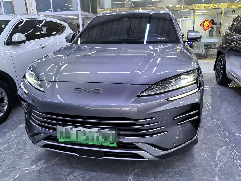 BYD PLUS New Energy 2024 — фото 2