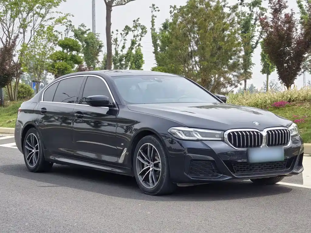 BMW 5 Series New Energy 2020 — фото 25