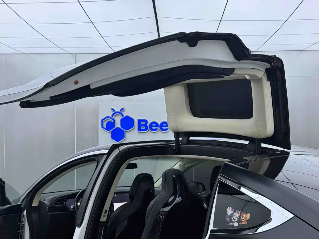 Tesla Model X 2016 — фото 19