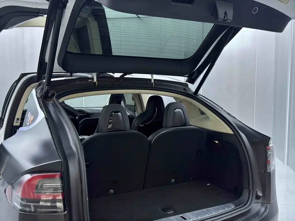 Tesla Model X 2016 — фото 24