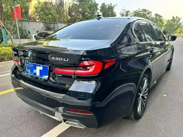 BMW 5 Series 2021