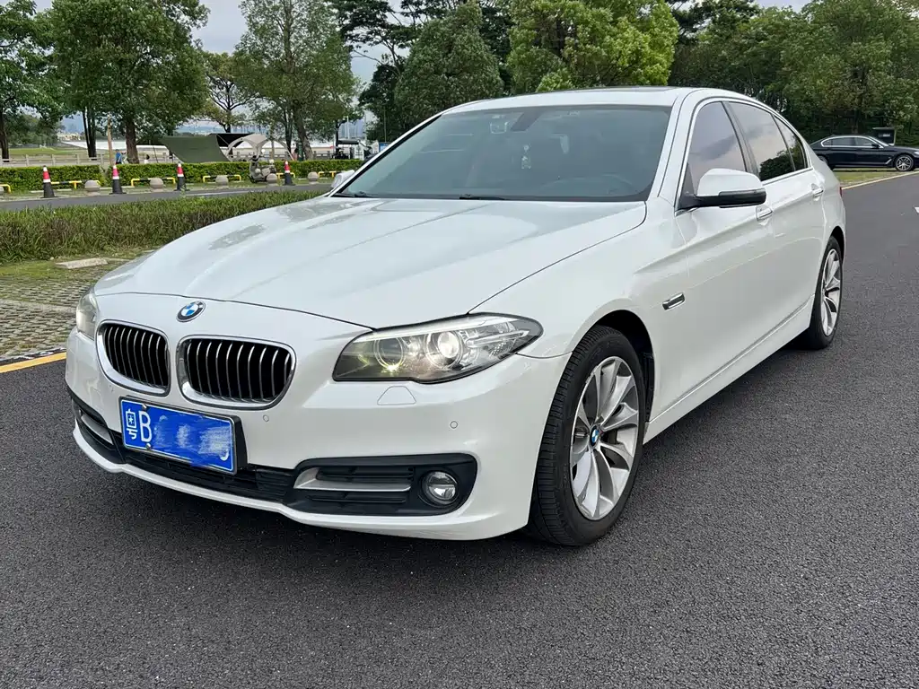 BMW 5 Series 2017 — фото 3