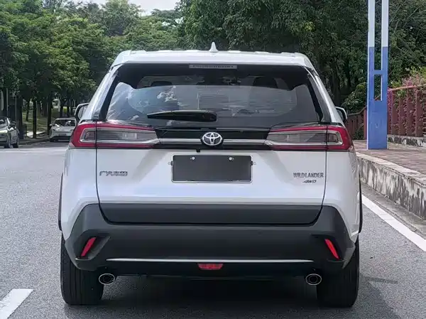 Toyota Wildlander 2021