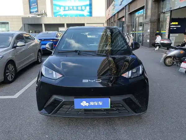 BYD Seagull 2024
