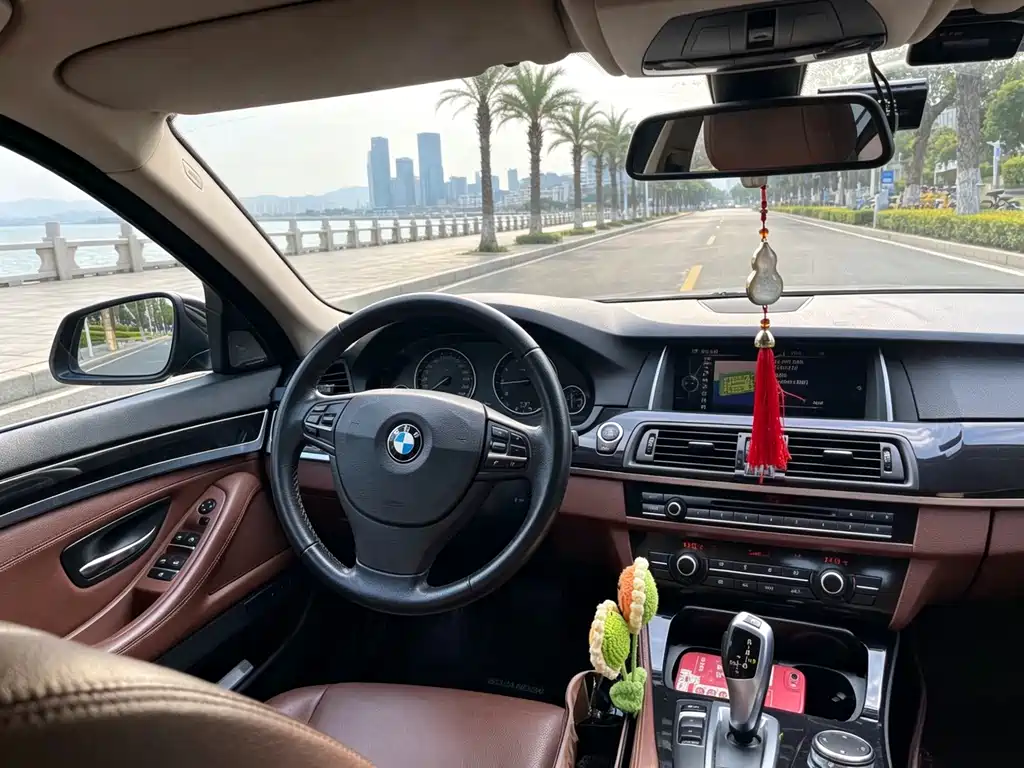 BMW 5 Series 2015 — фото 12