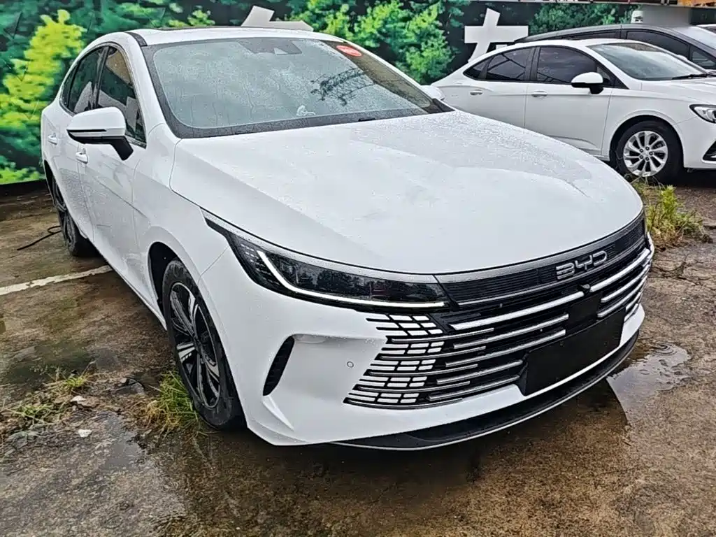 BYD Destroyer 05 2022 — фото 22