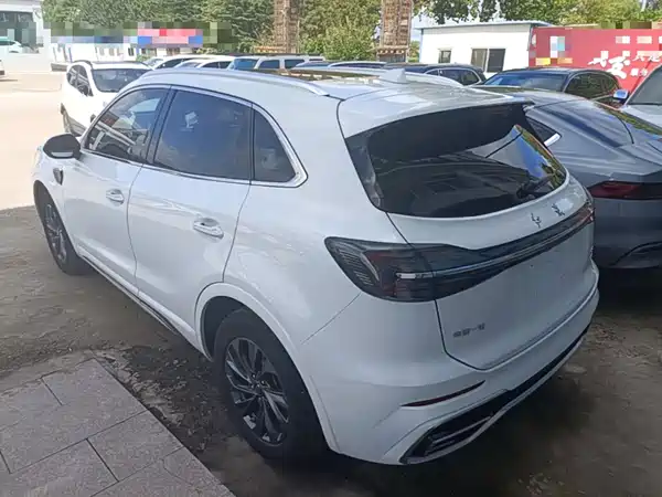 Hongqi HS5 2024