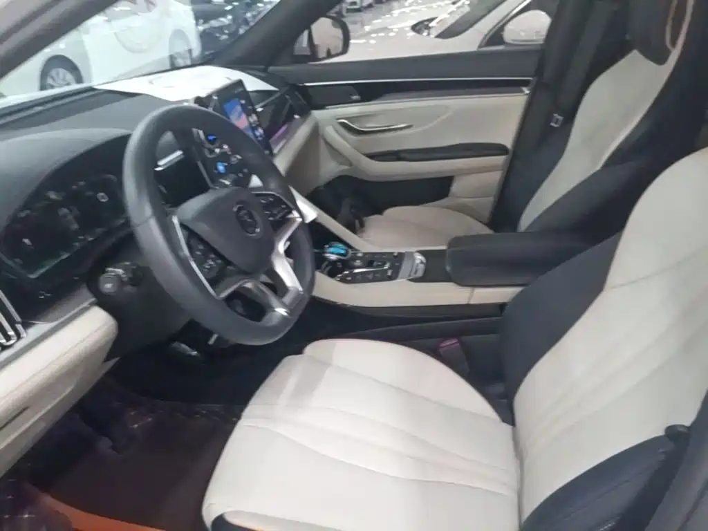 BYD Song PLUS New Energy 2022 — фото 15