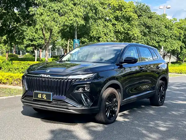 Dongfeng Haoji 2025