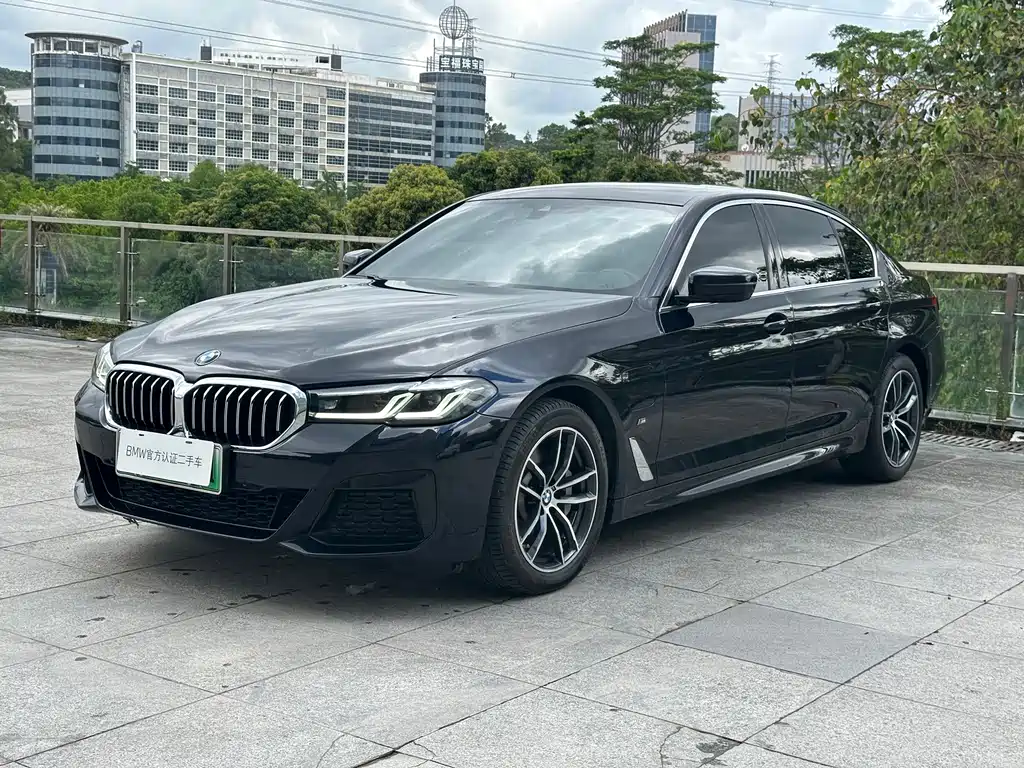 BMW 5 Series New Energy 2021 — фото 1