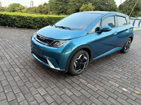 BYD Dolphin 2021