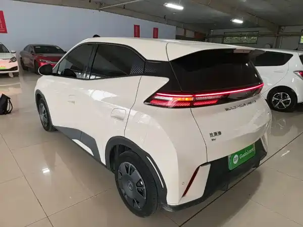 BYD Seagull 2024