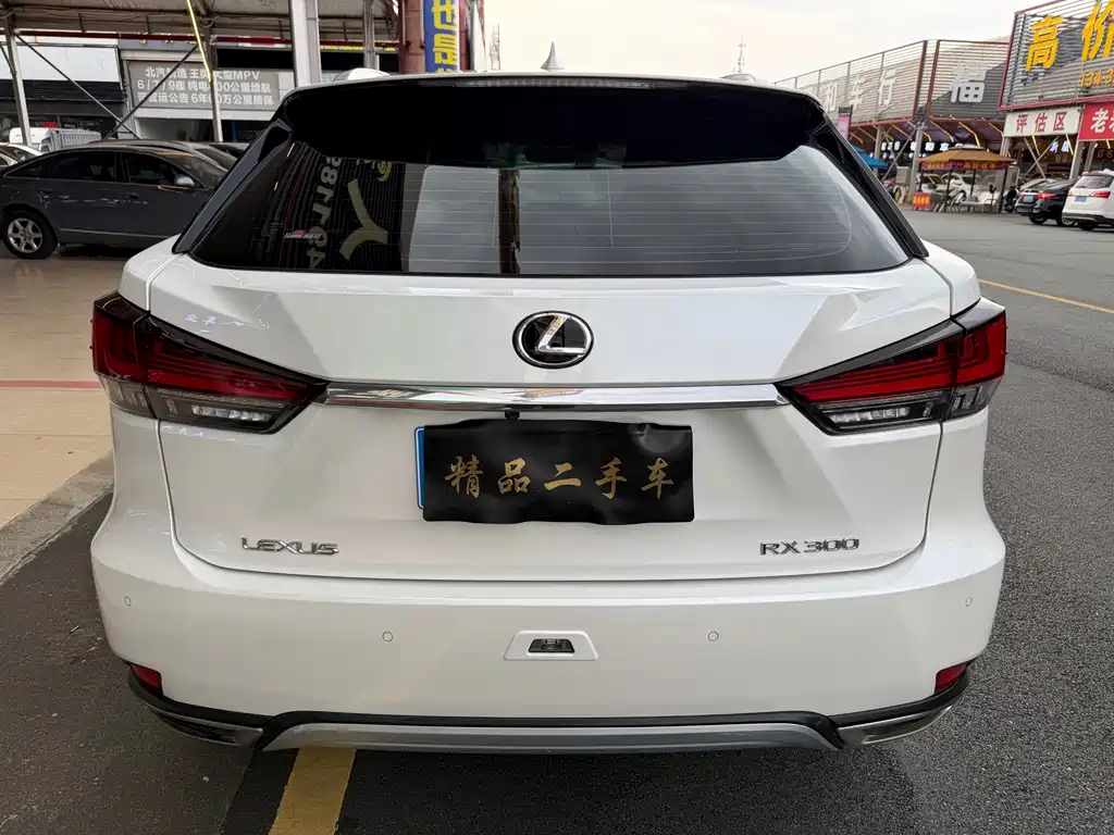 Lexus RX 2020 — фото 9