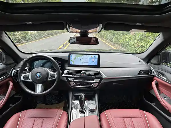 BMW 5 Series New Energy 2022