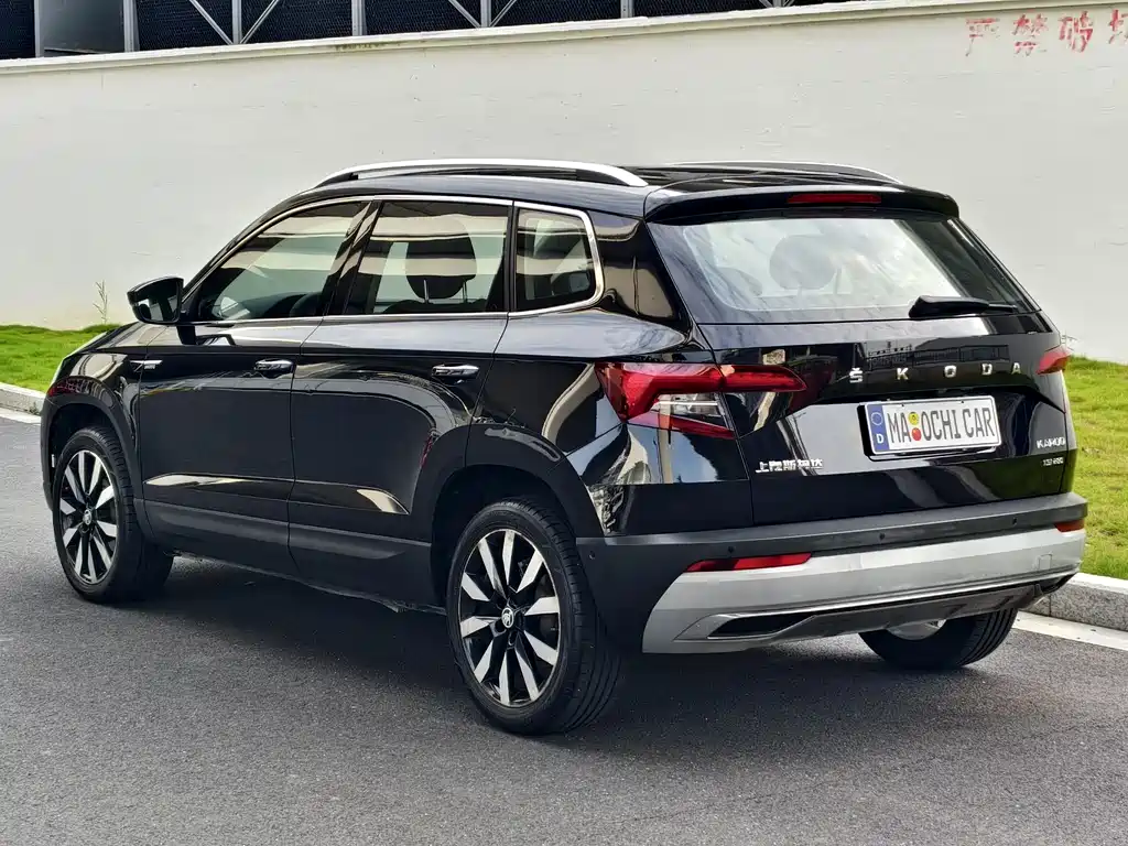 Skoda Karoq 2020 — фото 11