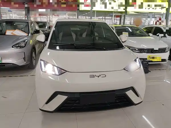 BYD Seagull 2025
