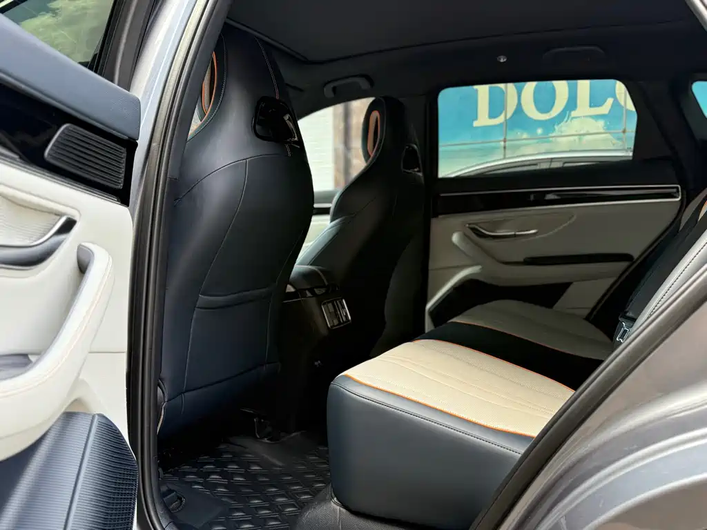 BYD PLUS New Energy 2024 — фото 10