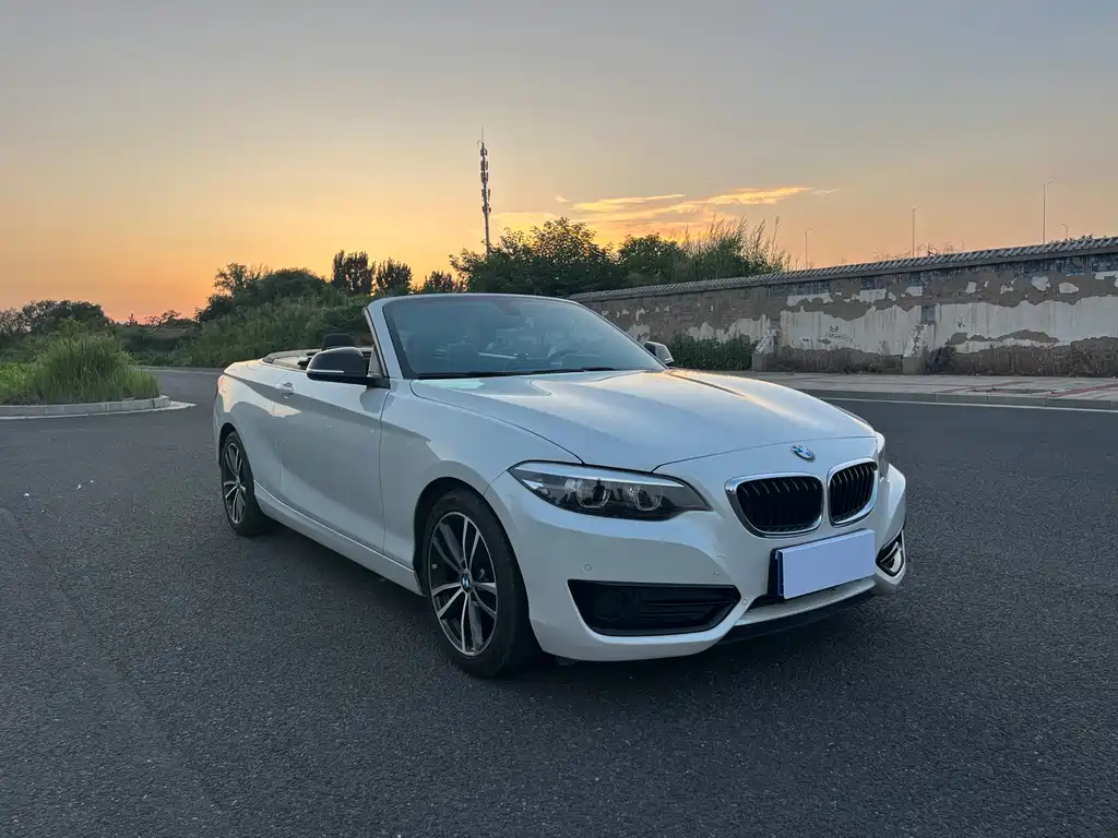 BMW 2 Series 2019 — фото 2