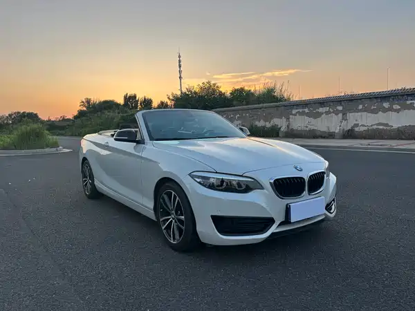 BMW 2 Series 2019