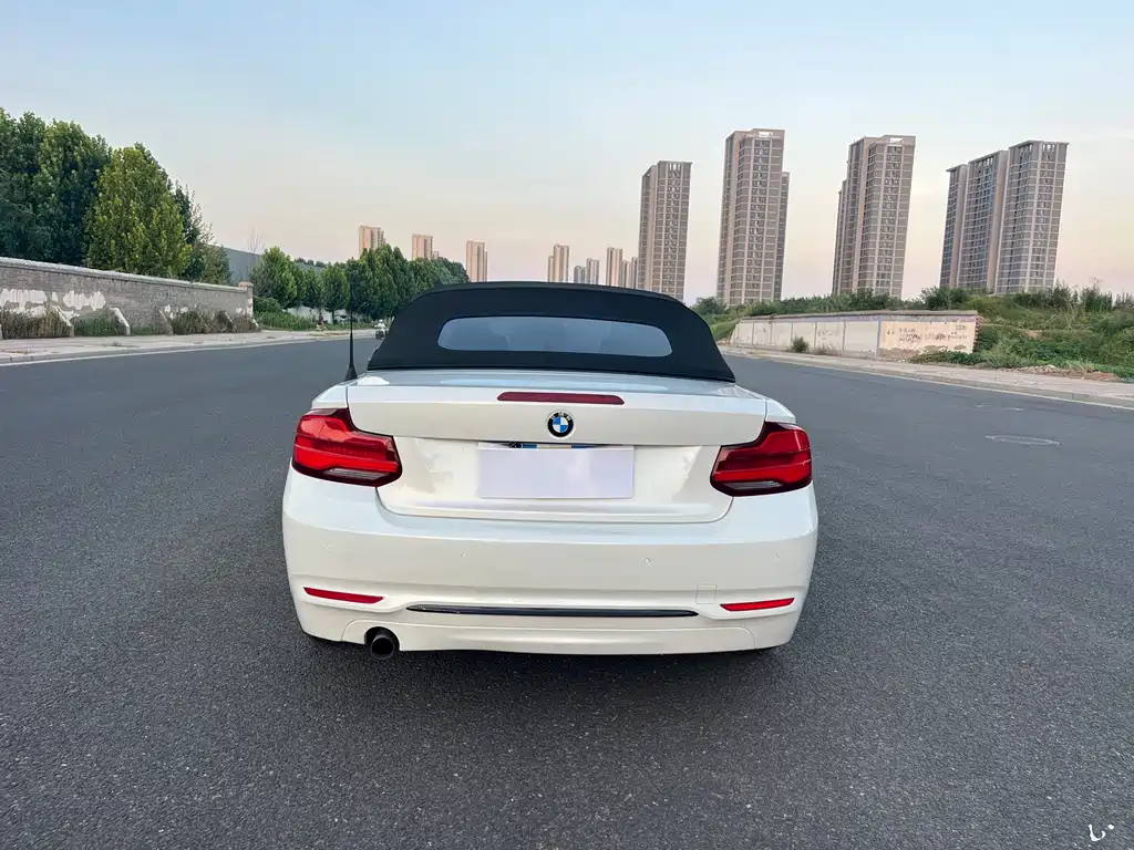 BMW 2 Series 2019 — фото 20