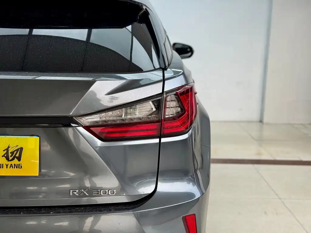 Lexus RX 2017 — фото 24