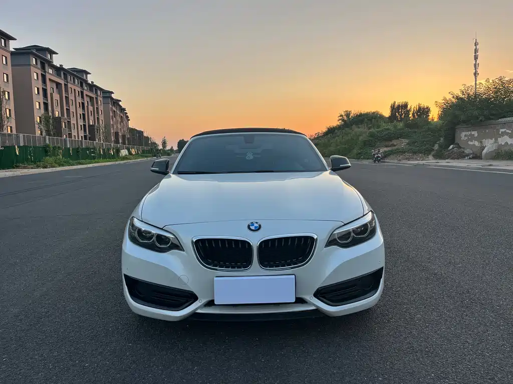 BMW 2 Series 2019 — фото 16