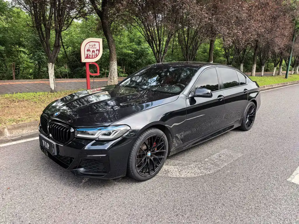 BMW 5 Series 2013