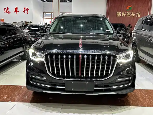 Hongqi HS7 2021