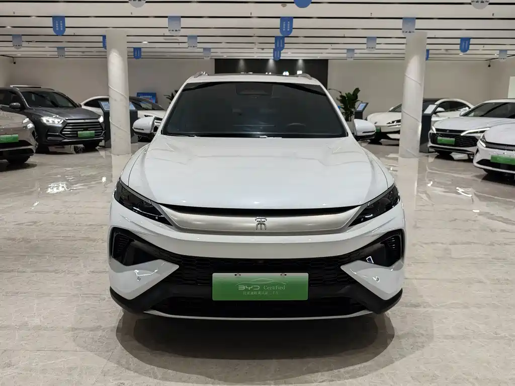 BYD Song Pro New Energy 2025 — фото 2