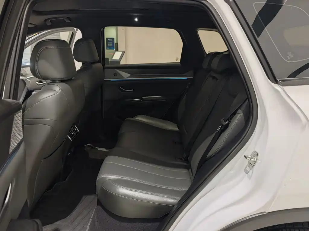 BYD Song Pro New Energy 2025 — фото 11