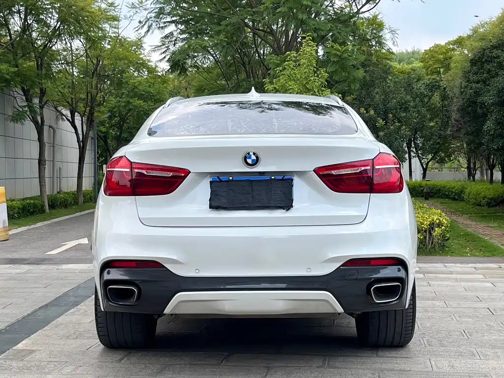 BMW X6 2017 — фото 8