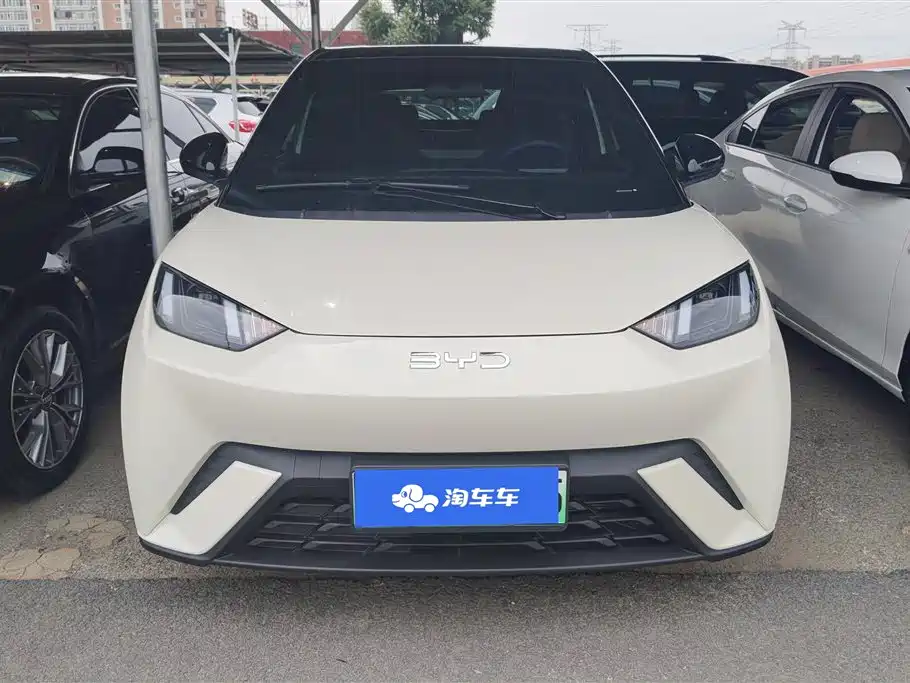 BYD Seagull 2024
