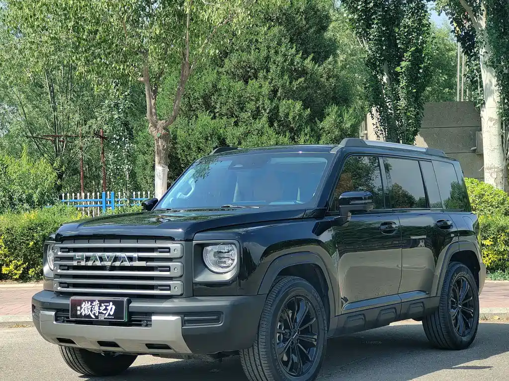 Haval Menglong New Energy 2024