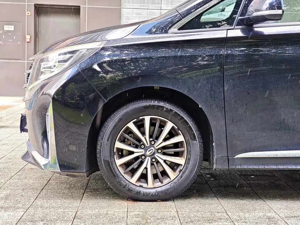 GAC Trumpchi M8 2023 — фото 5