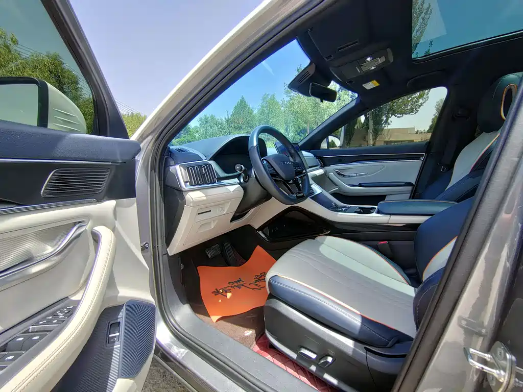 BYD Song PLUS New Energy 2024 — фото 4